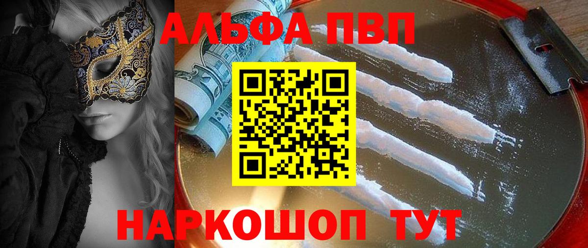 МЕФ Гудермес