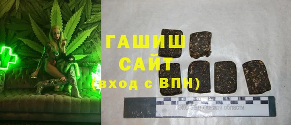 МДПВ Бородино