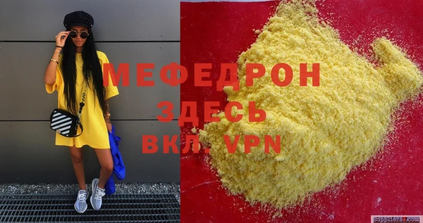 МДПВ Бородино
