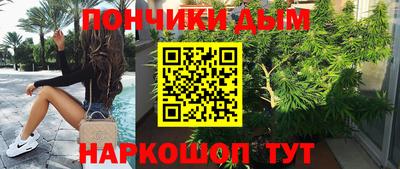 гашик Берёзовский