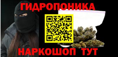 гашик Берёзовский