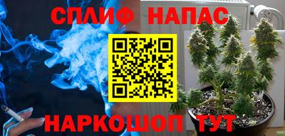 ПСИЛОЦИБИНОВЫЕ ГРИБЫ Балахна