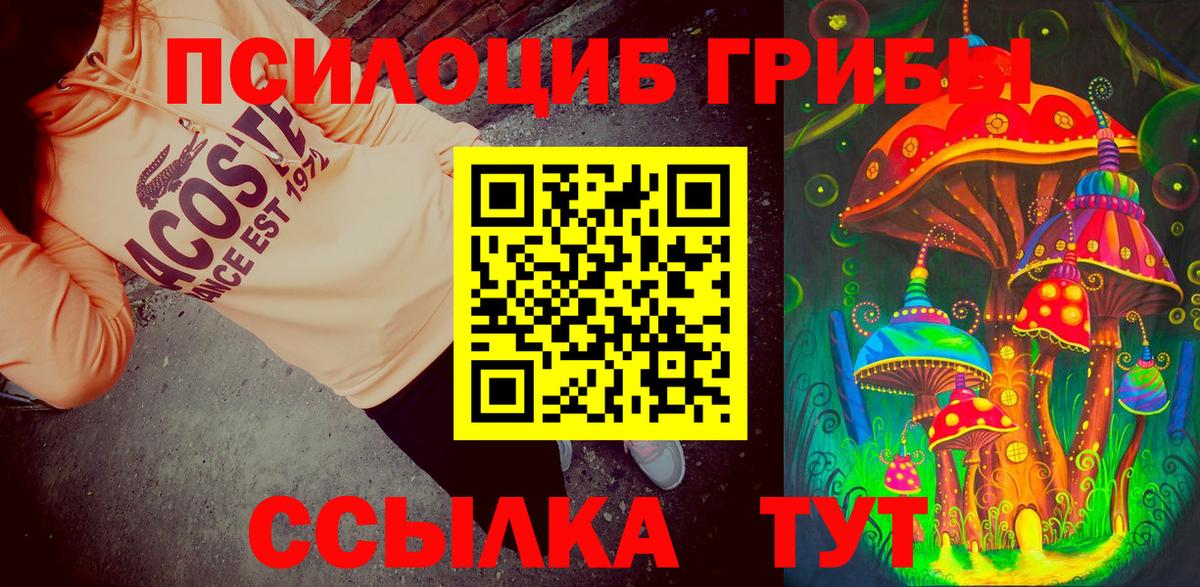 Псилоцибиновые грибы мухоморы Гудермес